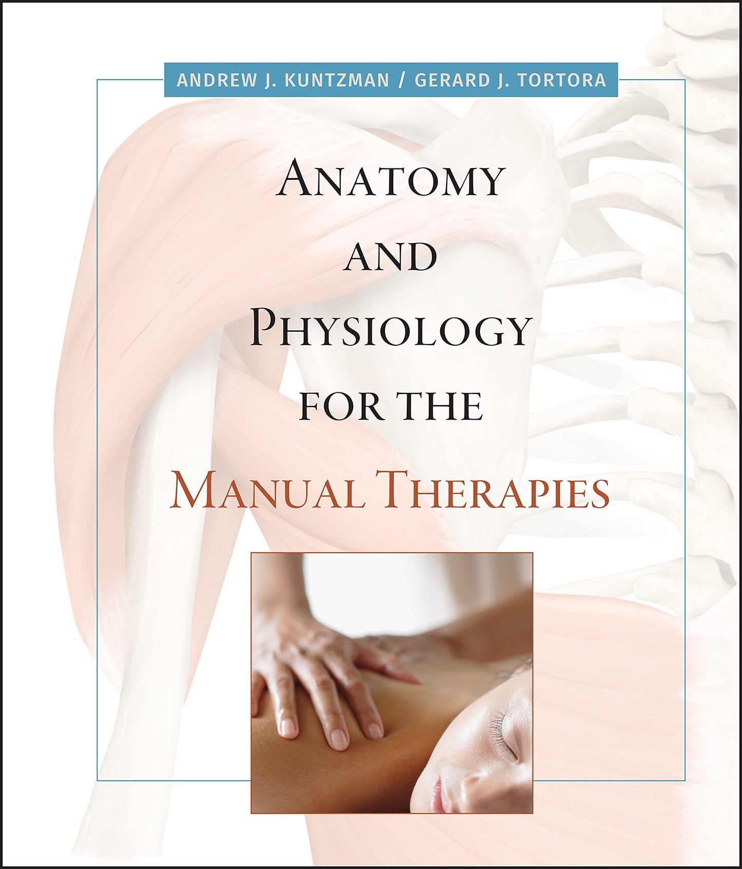 Anatomy and Physiology for the Manual Therapies by Kuntzman