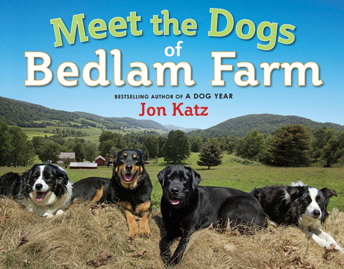 Meet the Dogs of Bedlam Farm