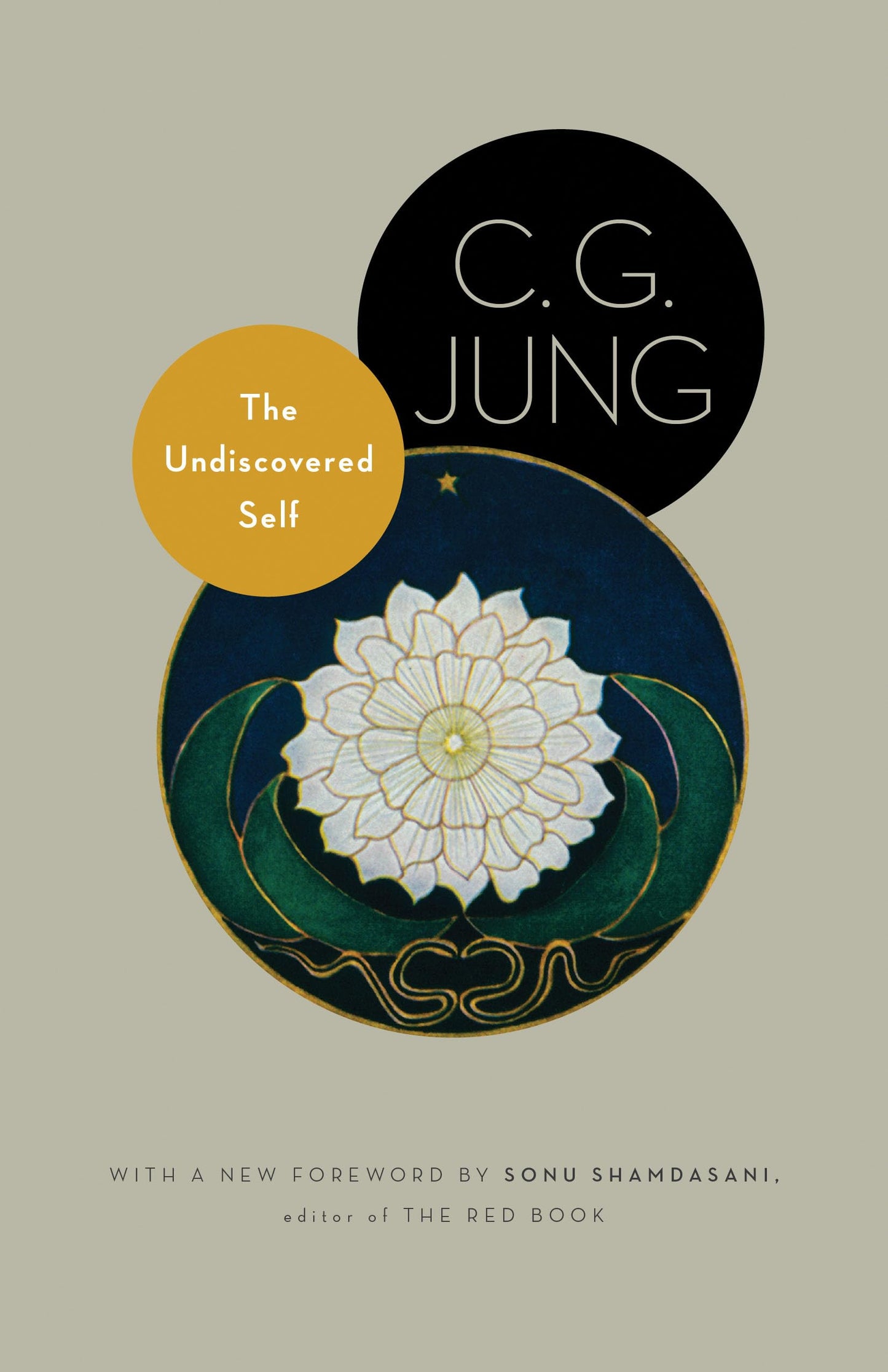 The Undiscovered Self: With Symbols and the Interpretation o