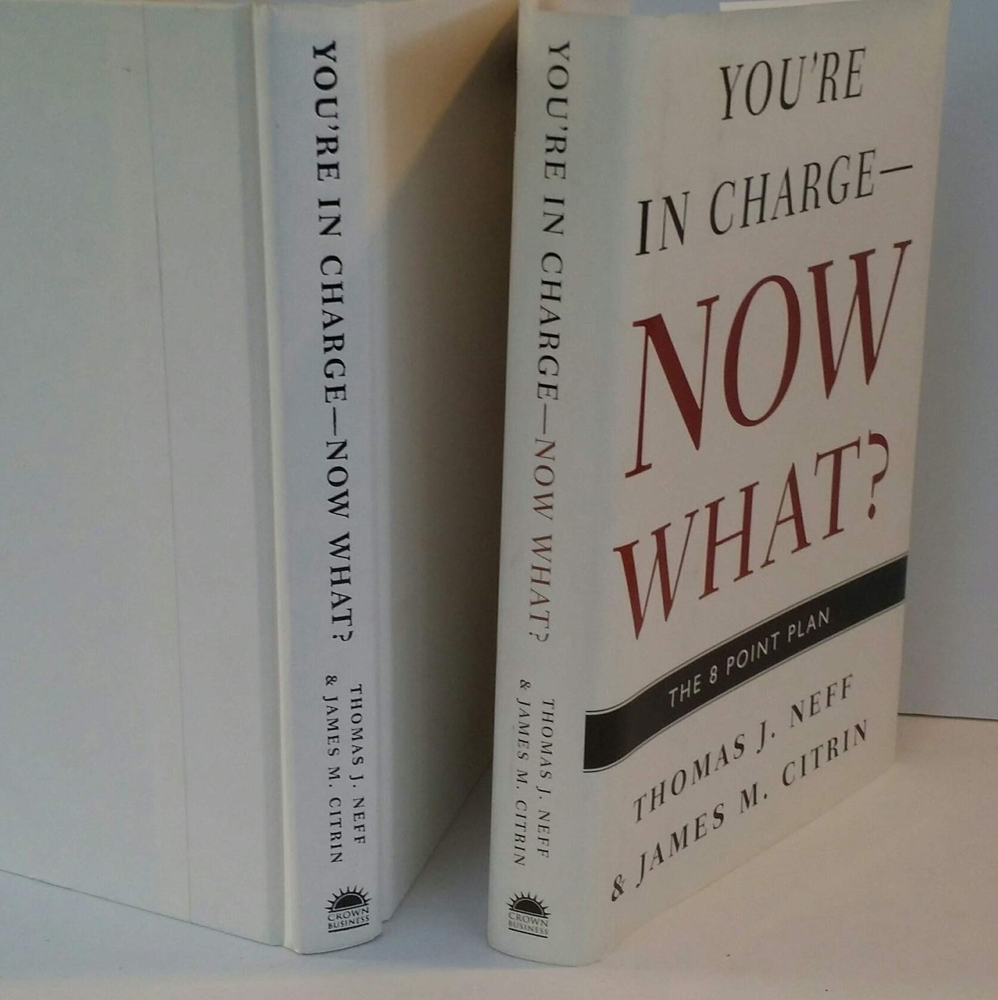 You're in Charge--Now What?: The 8 Point Plan