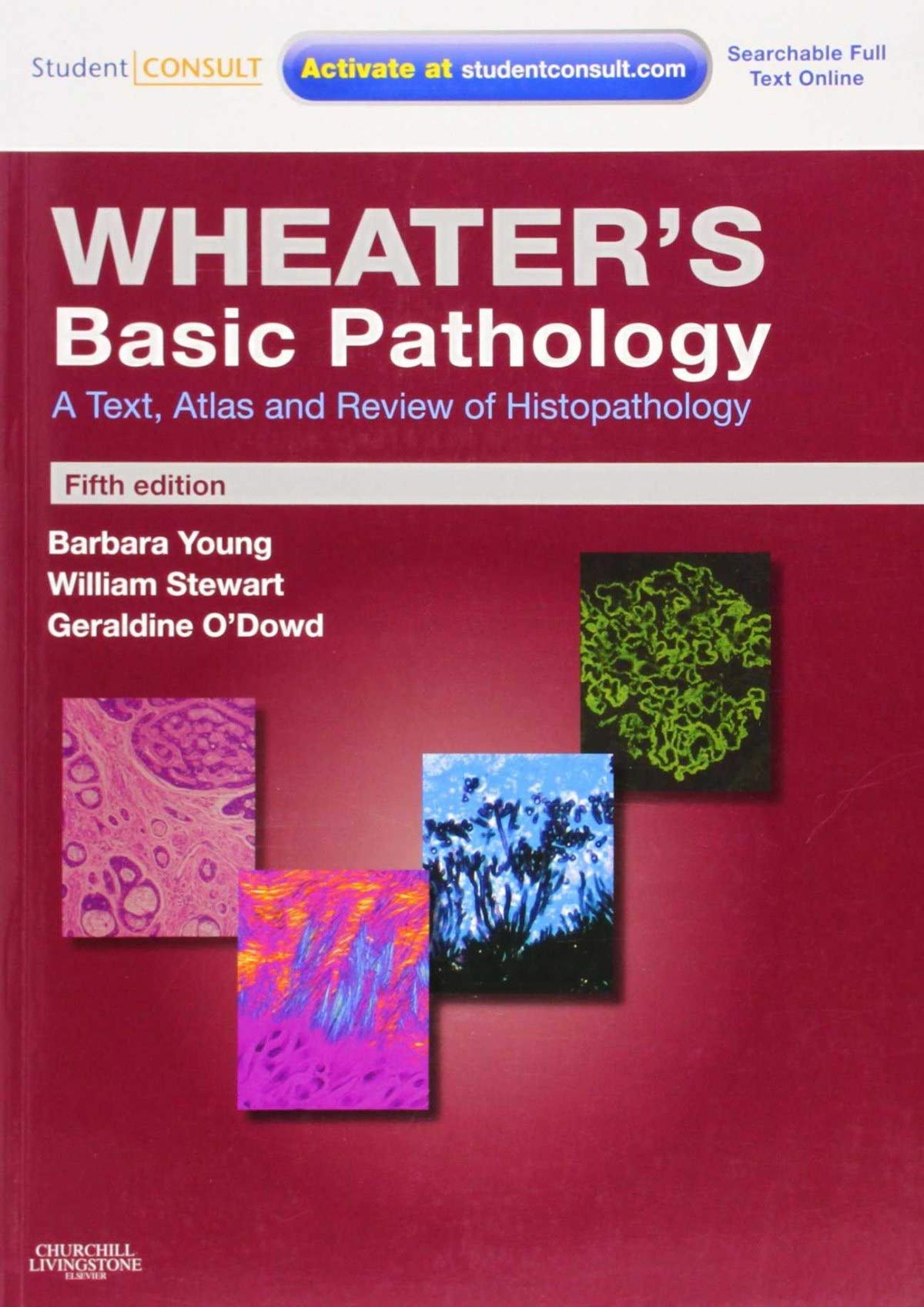Wheater's Basic Pathology: A Text, Atlas and Review of Histopathology: With STUDENT CONSULT Online Access (Wheater's Histology and Pathology)
