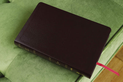 Amplified Holy Bible, Bonded Leather, Burgundy: Captures the