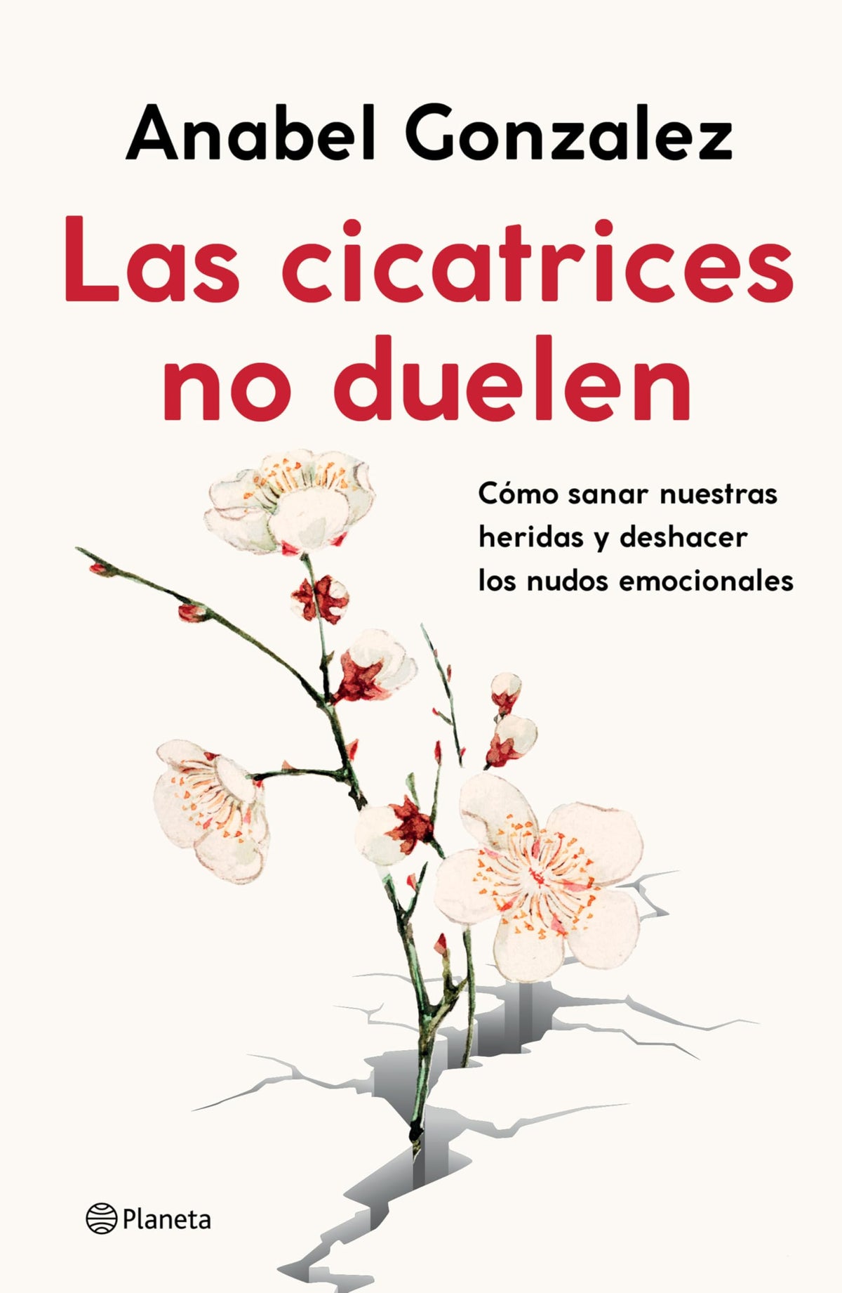 Las cicatrices no duelen: Como sanar nuestras heridas y deshacer los nudos emocionales / Wounds don't hurt (Spanish Edition)