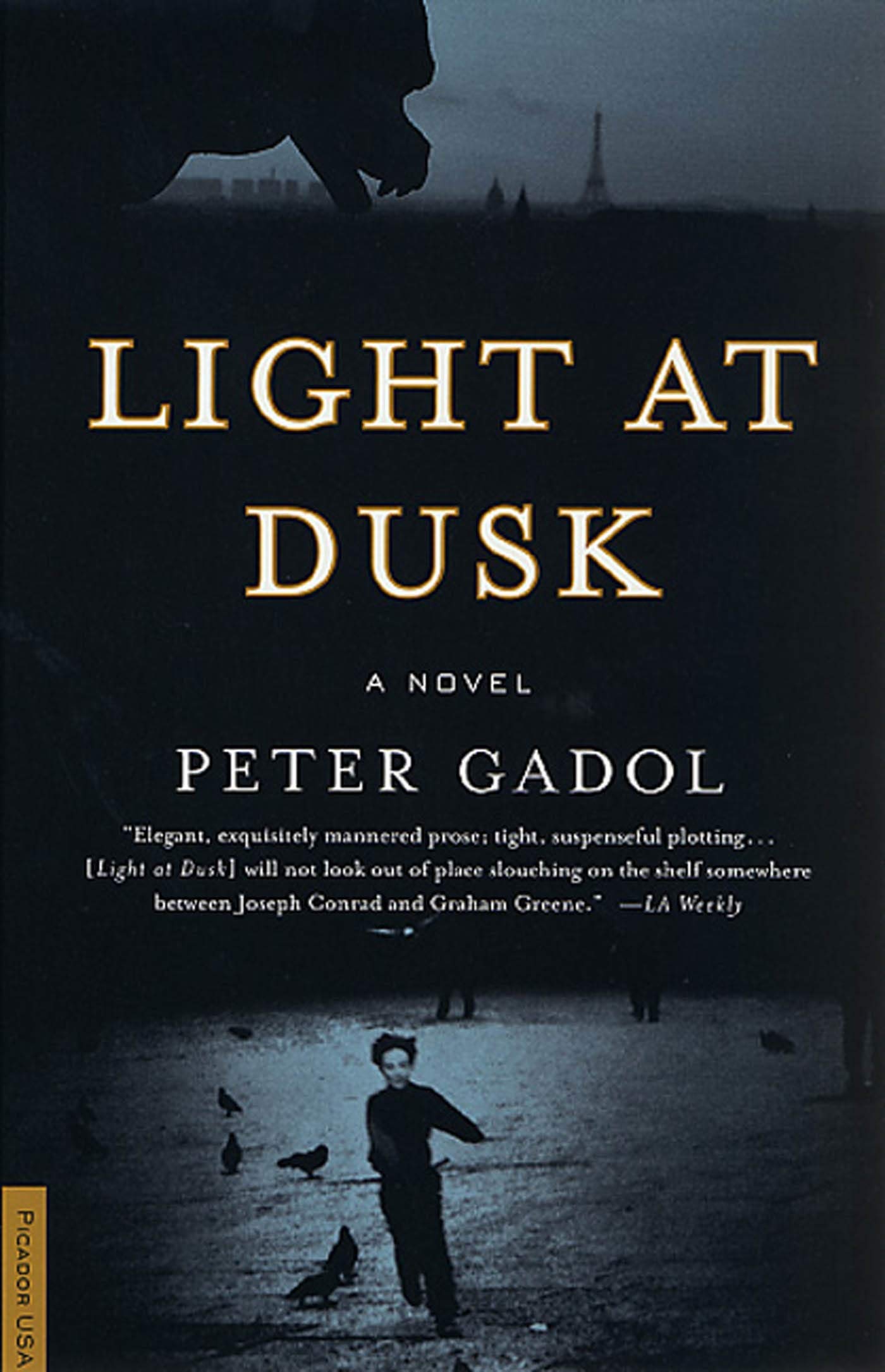 Light at Dusk: A Novel