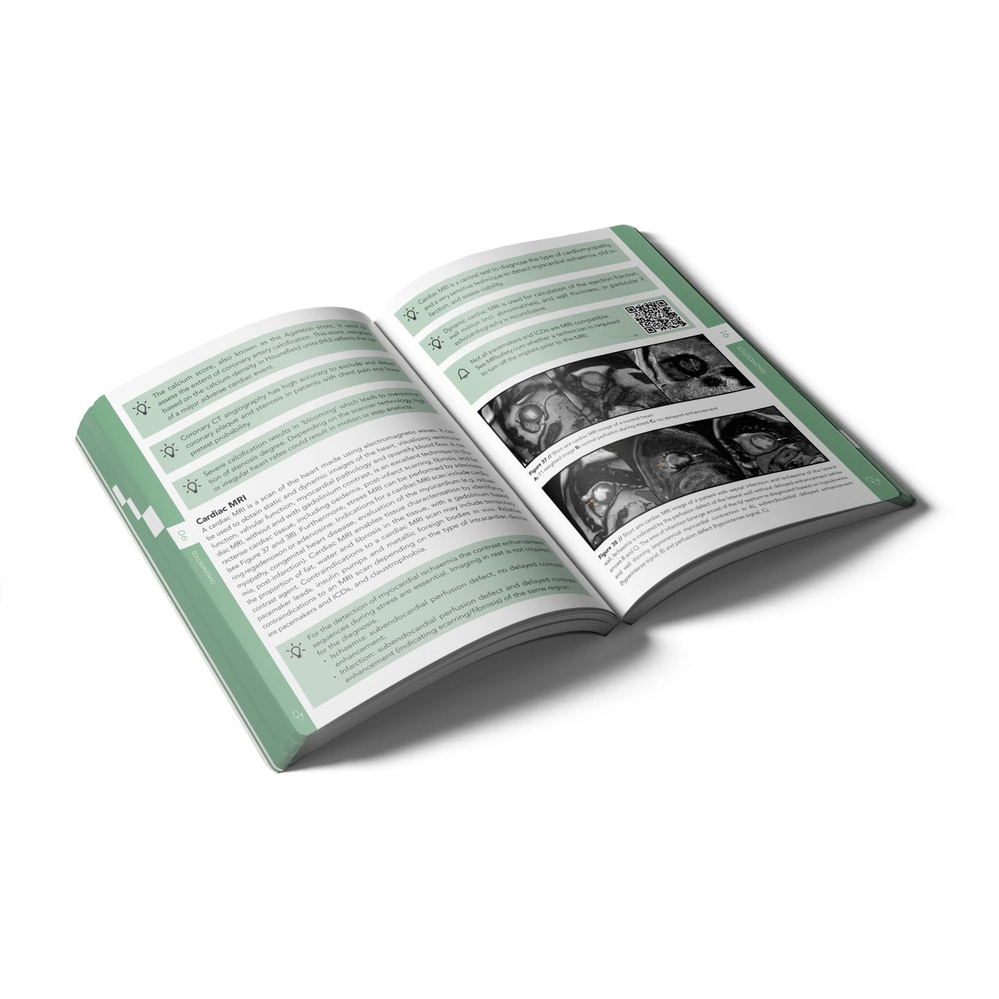 Pocket Cardiology and Vascular Medicine: An essential pocket-sized book on Cardiology and Vascular Medicine. (Compendium Medicine)