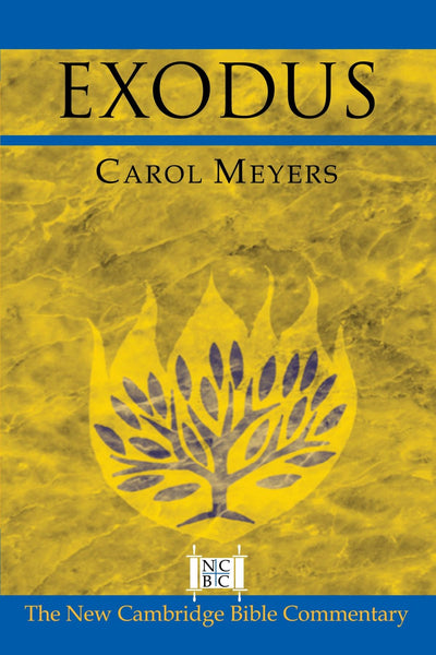 Exodus (New Cambridge Bible Commentary)