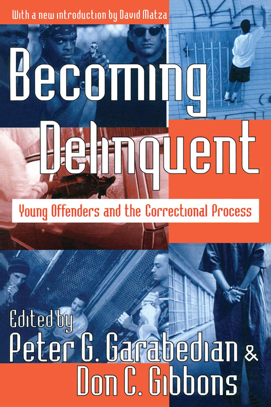 Becoming Delinquent: Young Offenders and the Correctional Process