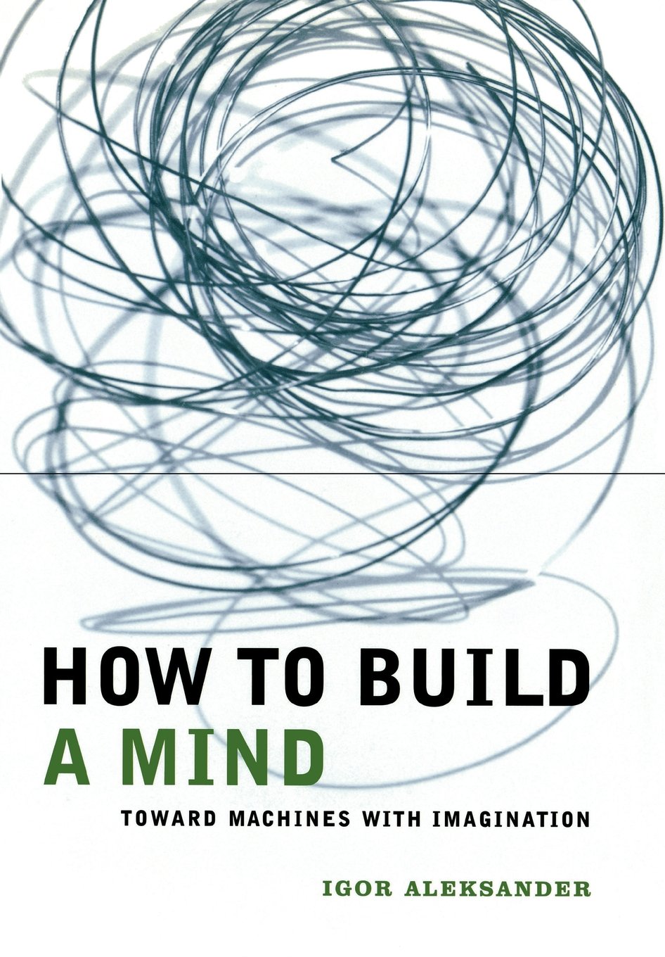 How to Build a Mind: Toward Machines with Imagination