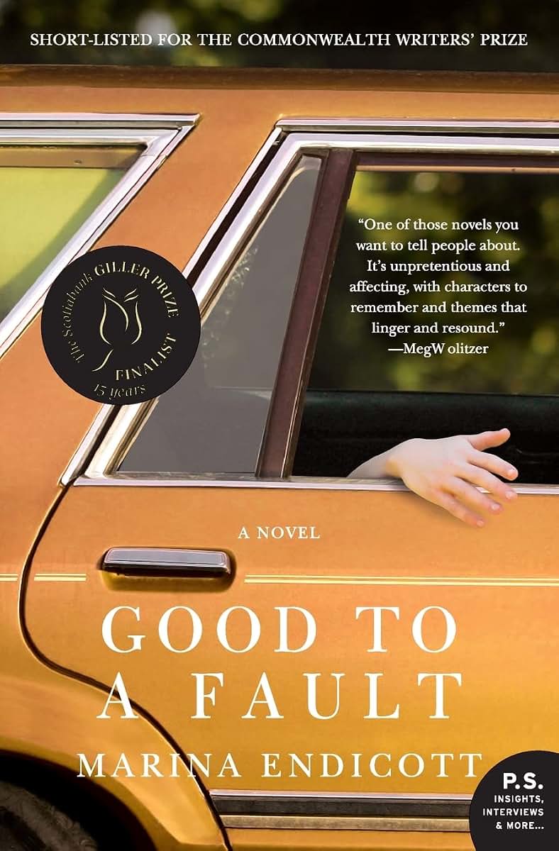 Good to a Fault: A Novel