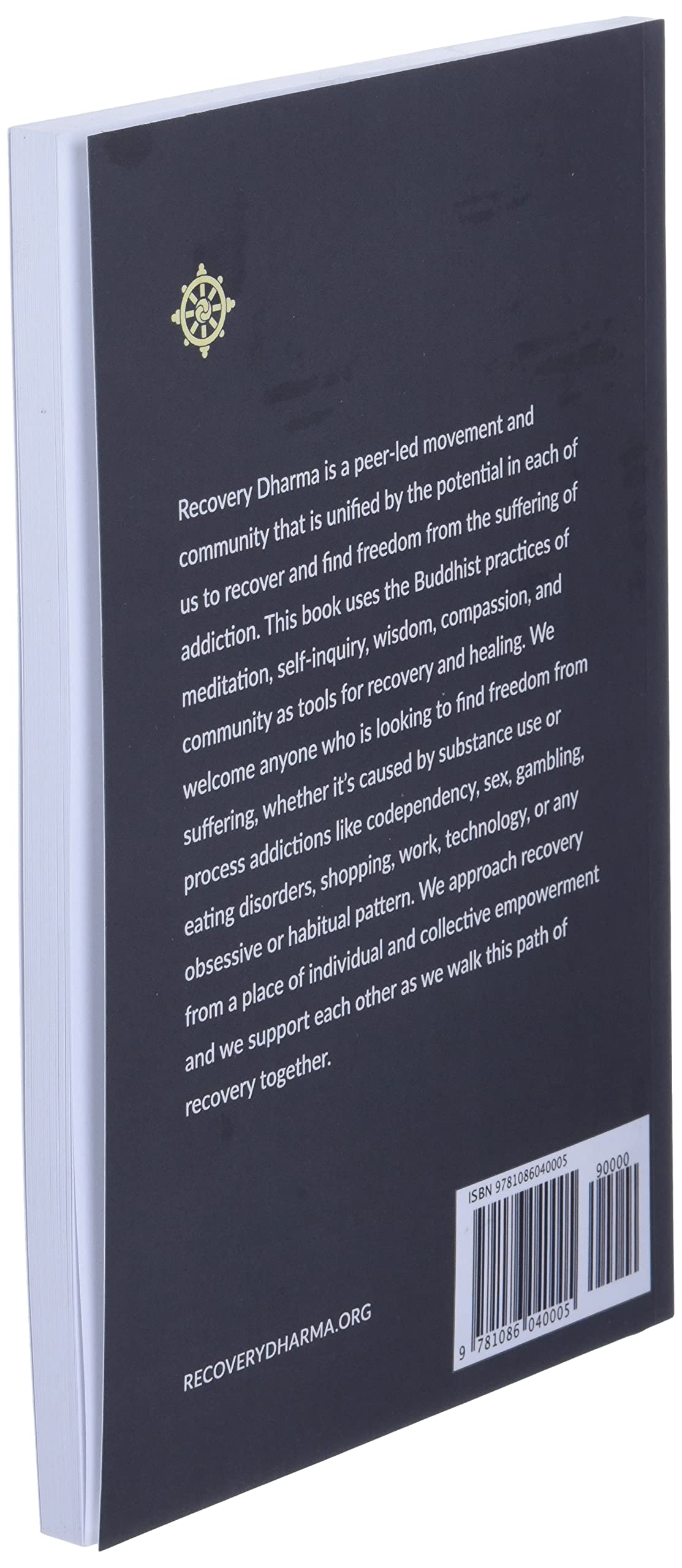 Recovery Dharma: How to Use Buddhist Practices and Principles to Heal the Suffering of Addiction