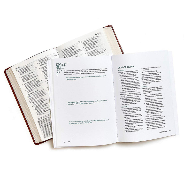 Job - Bible Study Book: A Story of Unlikely Joy - Bible Study Book — back cover