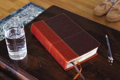 NIV, Personal Size Reference Bible, Large Print, Leathersoft