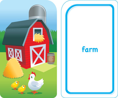 School Zone - Colors, Shapes & More Flash Cards - Ages 4 and Up, Preschool to Kindergarten, Pictures, Numbers, Rhyming Words, Directional Words, Shape Recognition, and More
