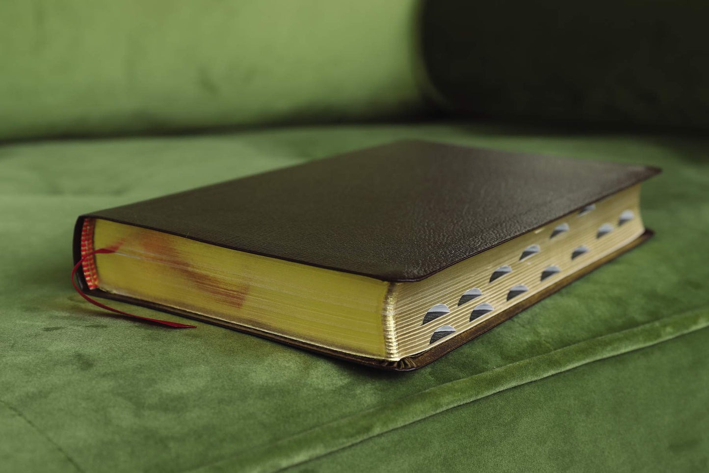 Amplified Holy Bible, Bonded Leather, Burgundy, Thumb Indexed: Captures the Full Meaning Behind the Original Greek and Hebrew
