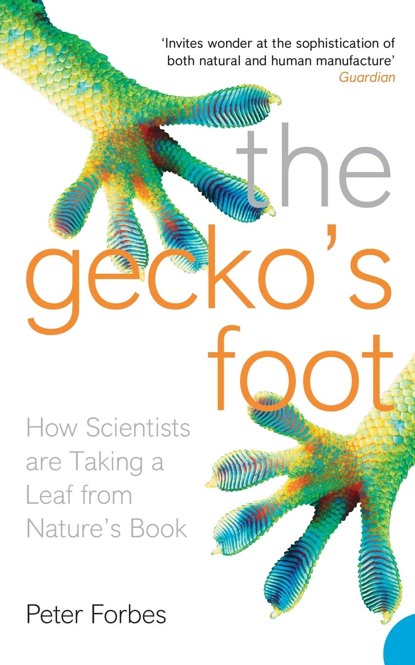 The Geckos Foot: How Scientists are Taking a Leaf from Nature's Book