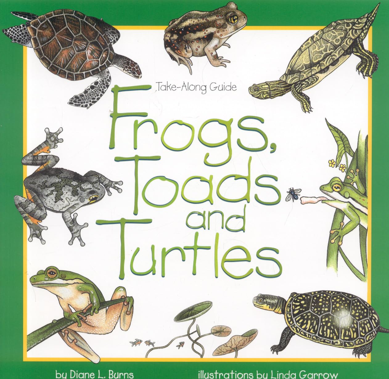 Frogs, Toads & Turtles: Take Along Guide (Take Along Guides)
