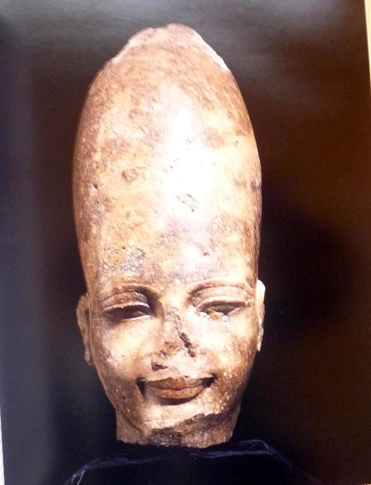 Pharaohs of the Sun: Akhenaten, Nefertiti, & Tutankhamen