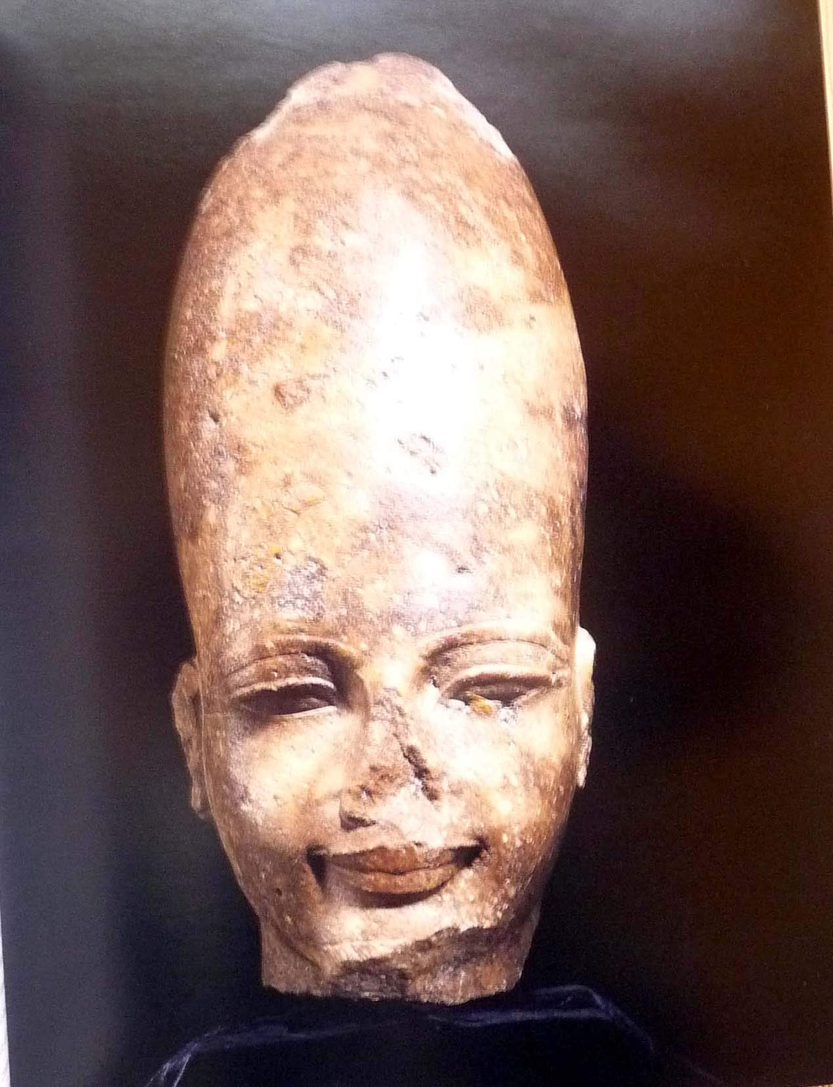 Pharaohs of the Sun: Akhenaten, Nefertiti, & Tutankhamen