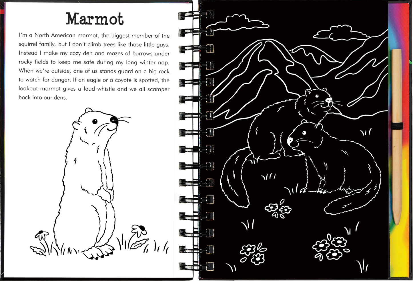 Llamas & Friends Scratch & Sketch (Trace Along)