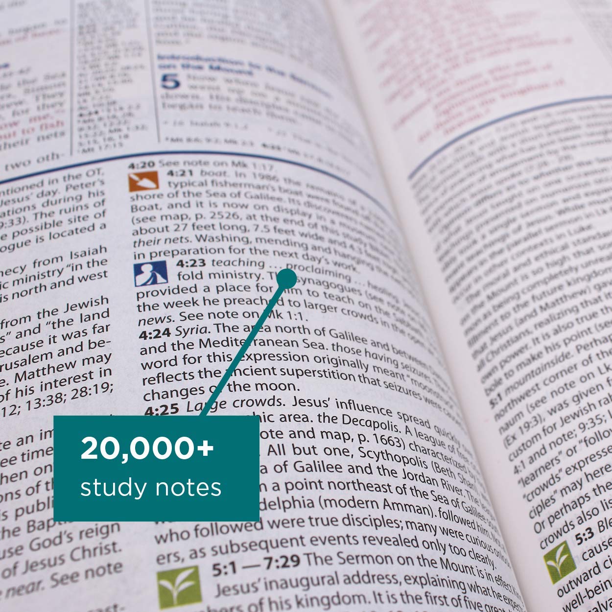NIV Study Bible, Personal Size, Paperback, Red Letter Edition