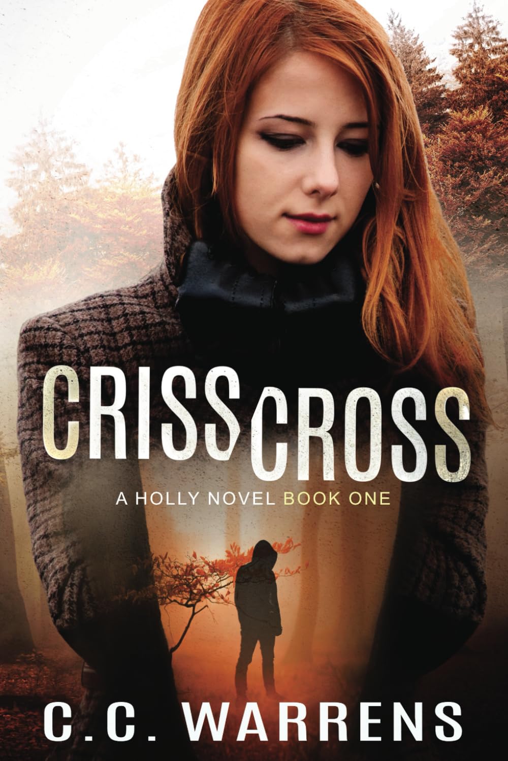 Criss Cross: A Holly Novel