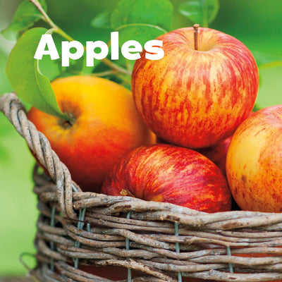 Apples (Celebrate Fall: Little Pebble)