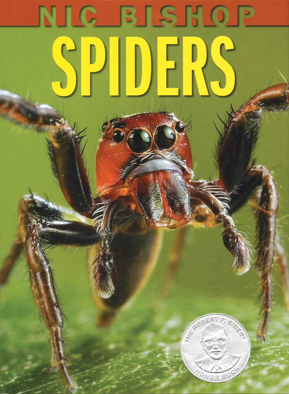 Nic Bishop Spiders (Sibert Honor Book) by Bishop, Nic