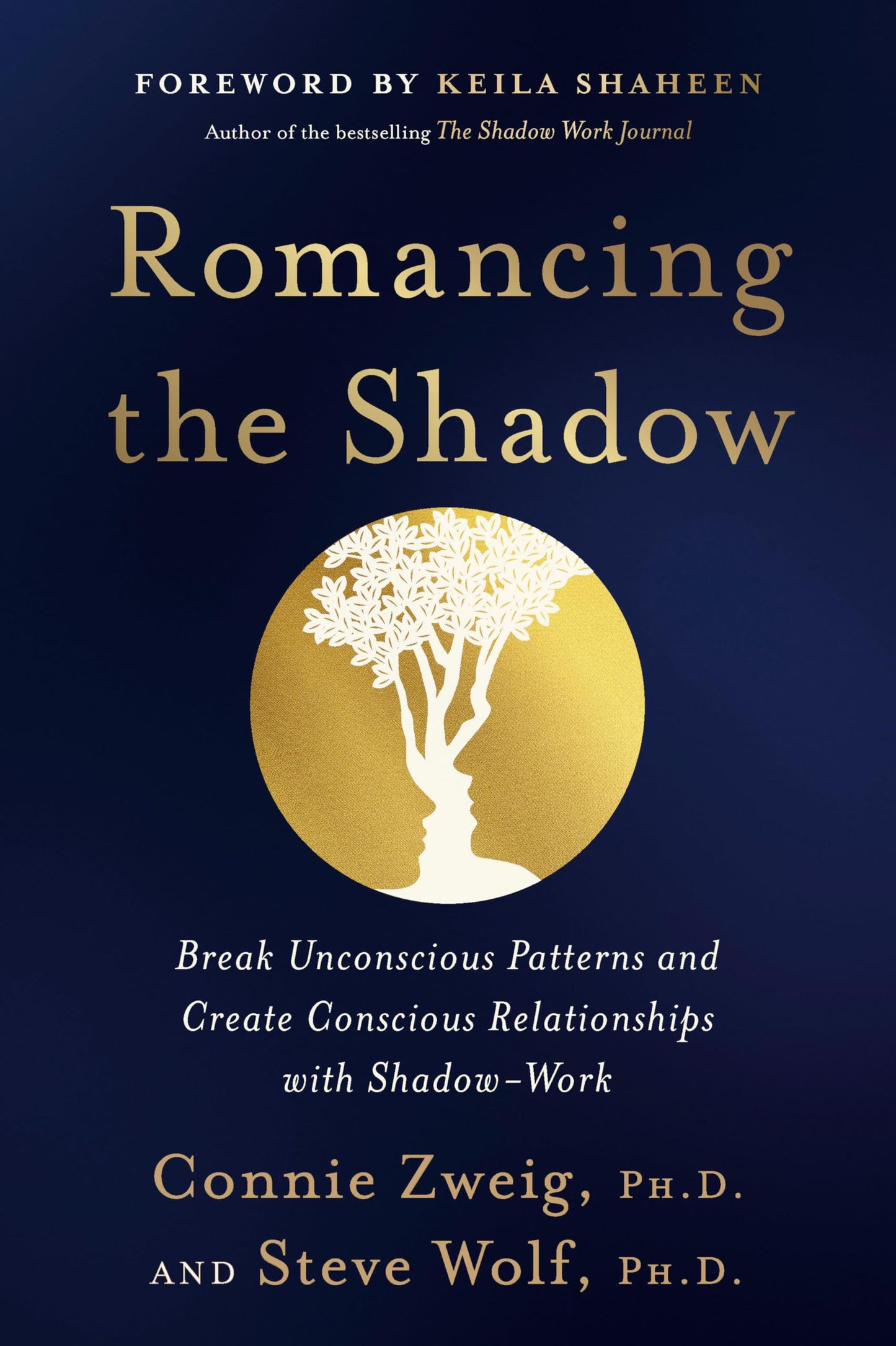 Romancing the Shadow: A Guide to Soul Work