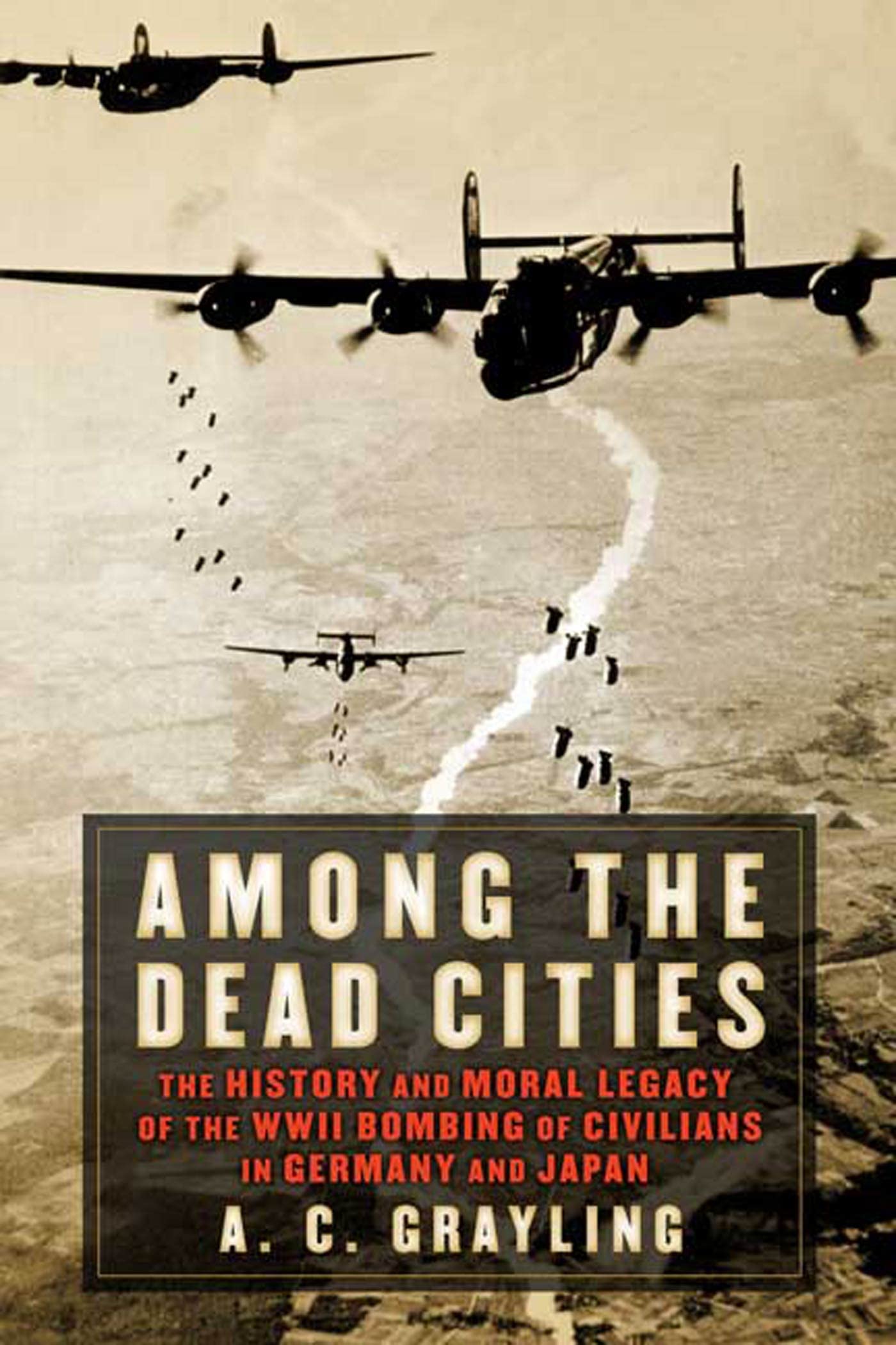 Among the Dead Cities: The History and Moral Legacy of the WWII Bombing of Civilians in Germany and Japan