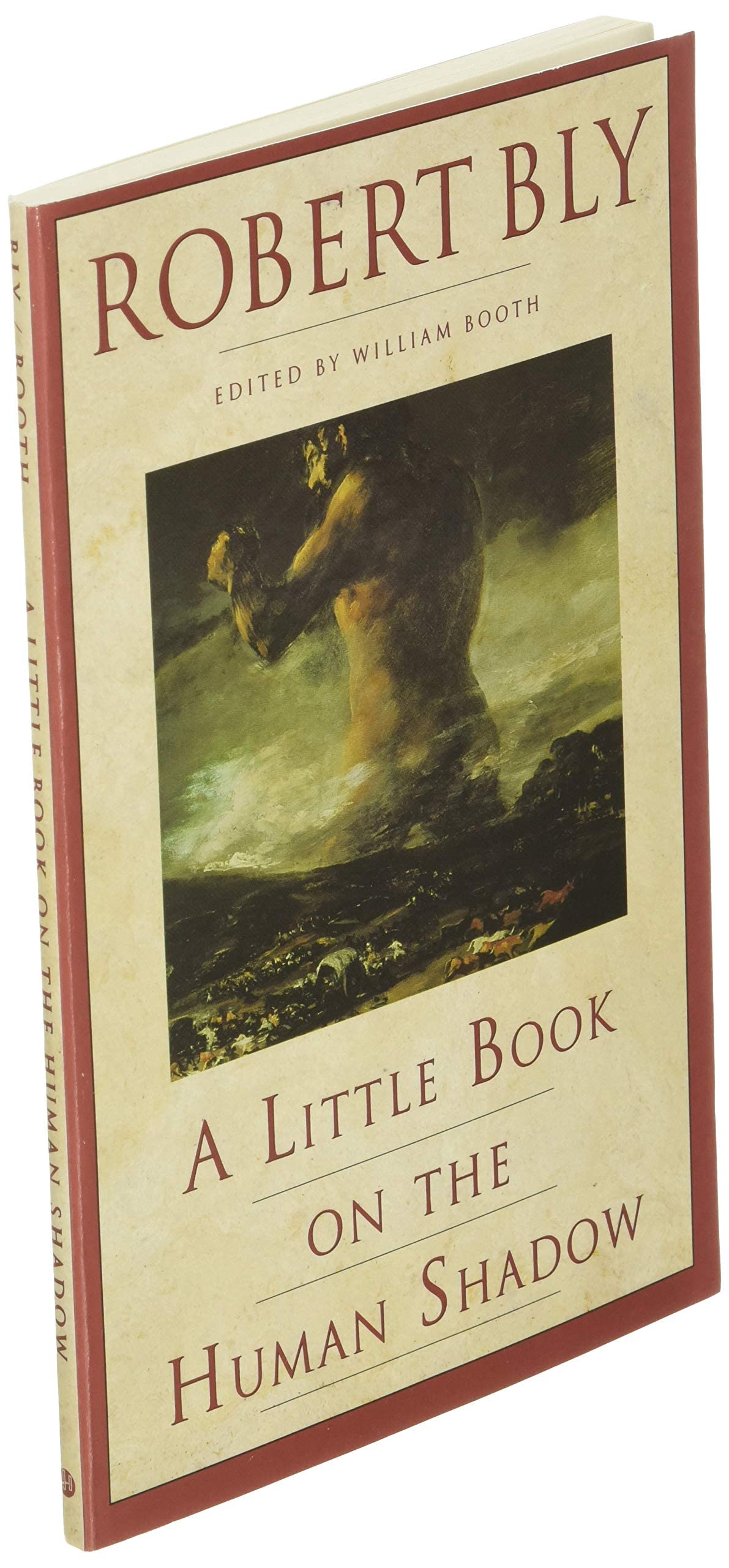 A Little Book on the Human Shadow: A Poetic Journey