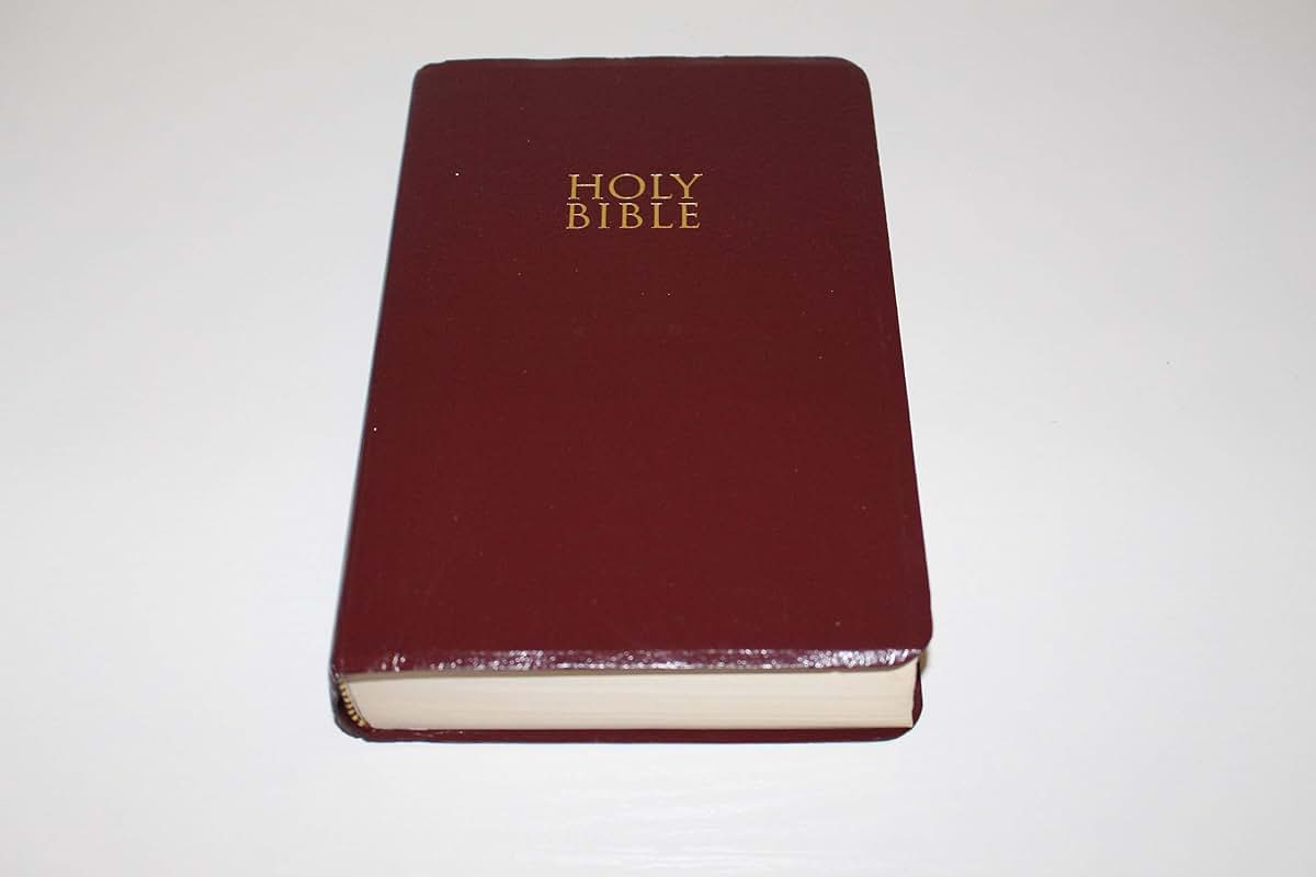 Holy Bible: NIV Gift and Award Bible