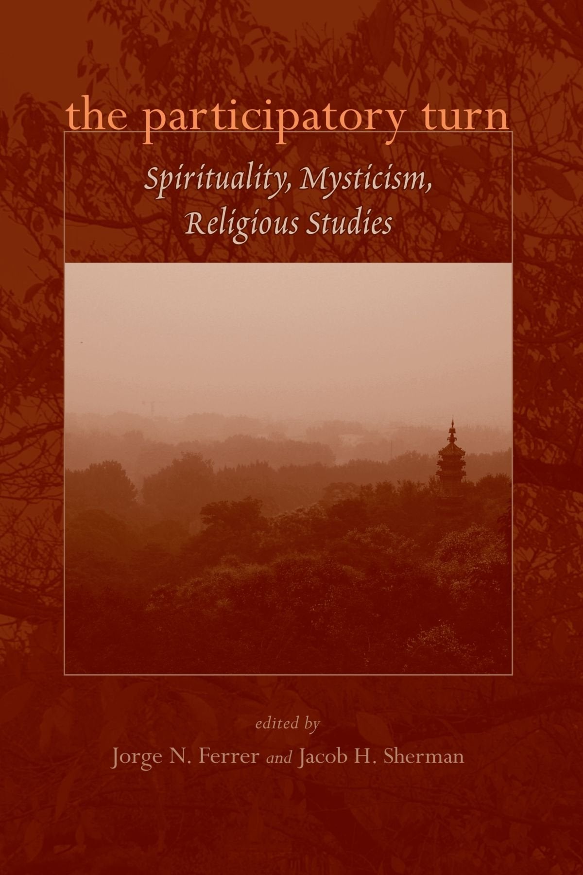 The Participatory Turn: Spirituality, Mysticism, Religious Studies