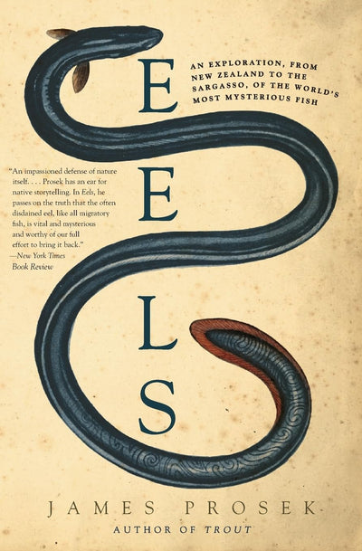 Eels: An Exploration, from New Zealand to the Sargasso, of the World's Most Mysterious Fish - A Natural History of Biology, Culture, and Conservation