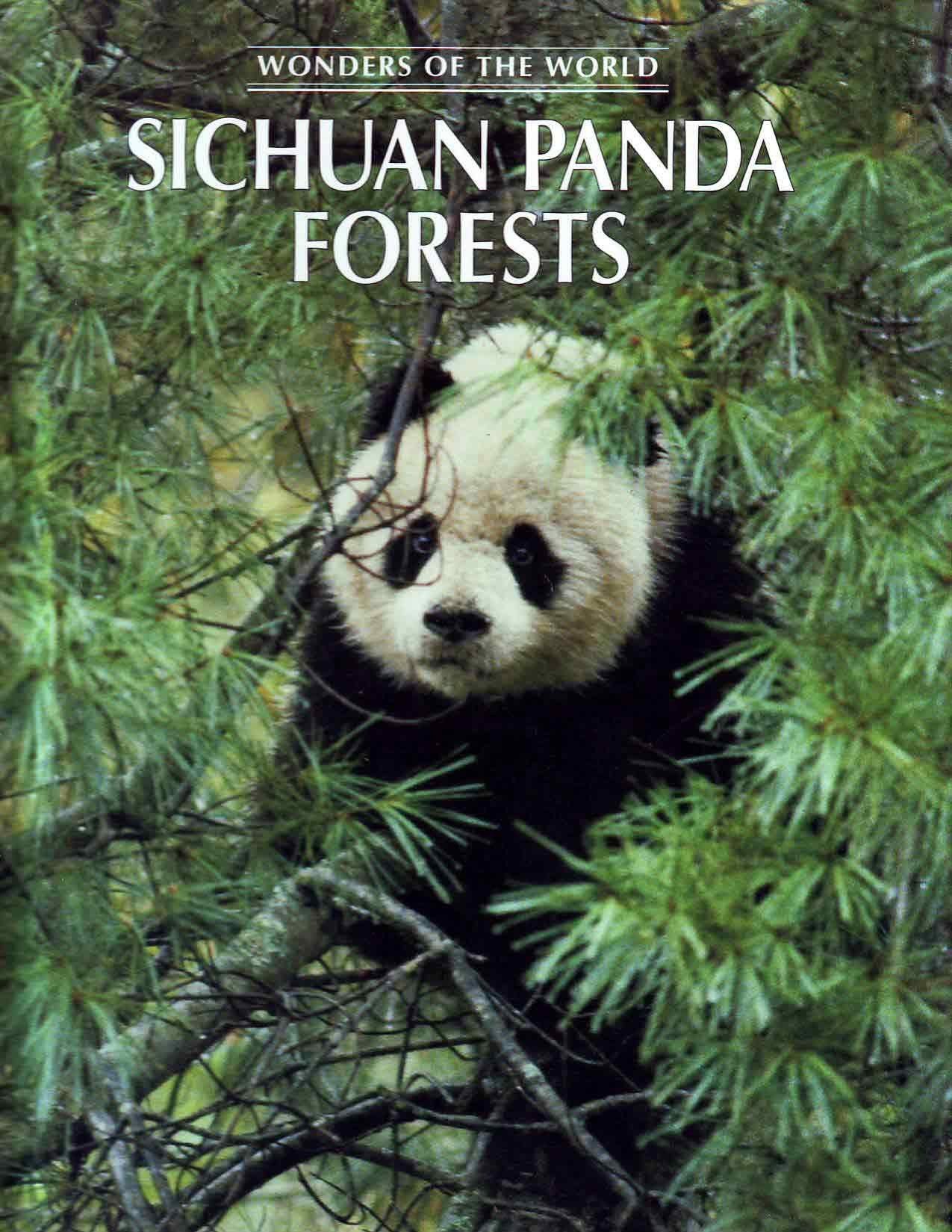 Sichuan Panda Forests (Wonders of the World)