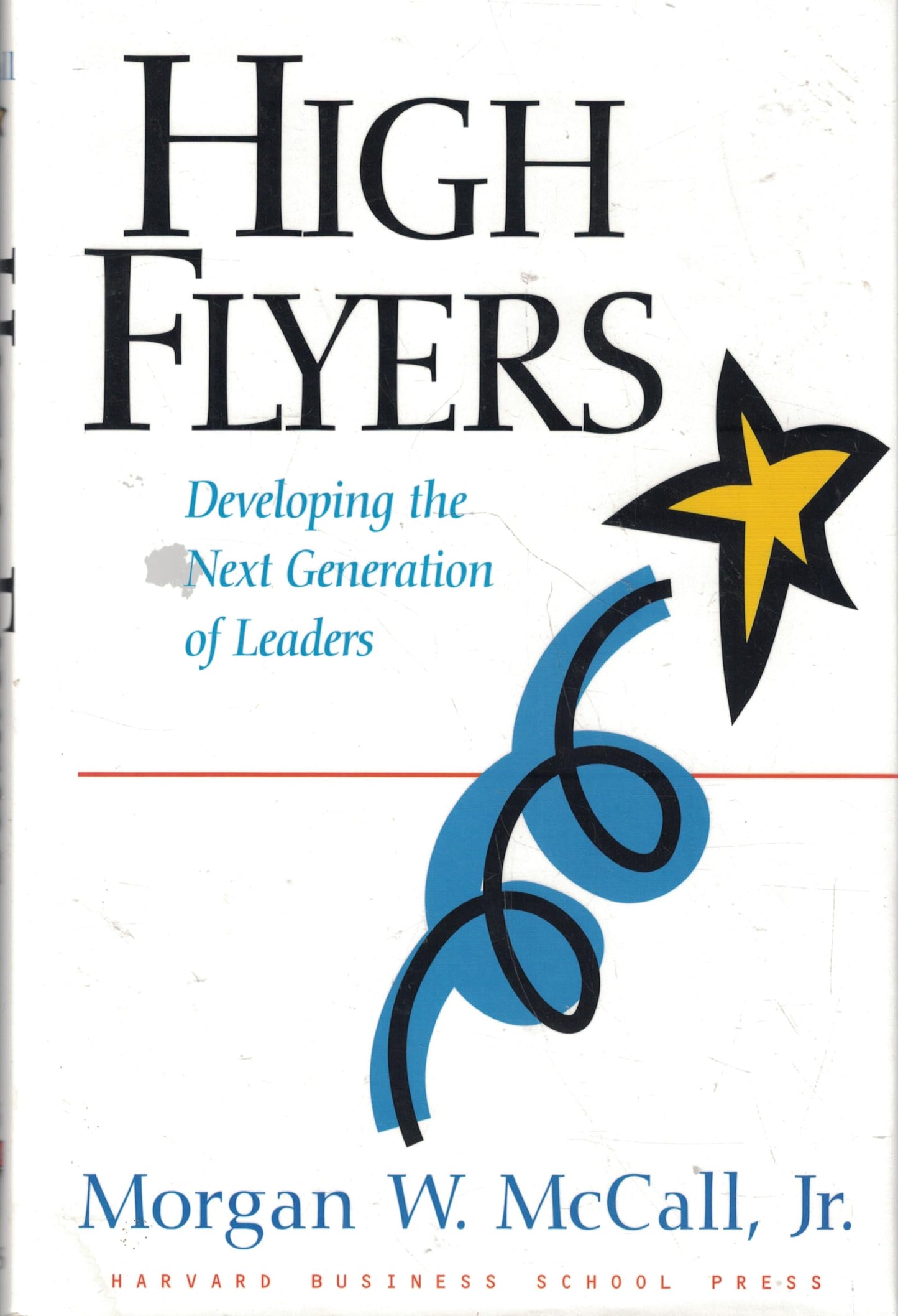 High Flyers: Developing the Next Generation of Leaders by Mc