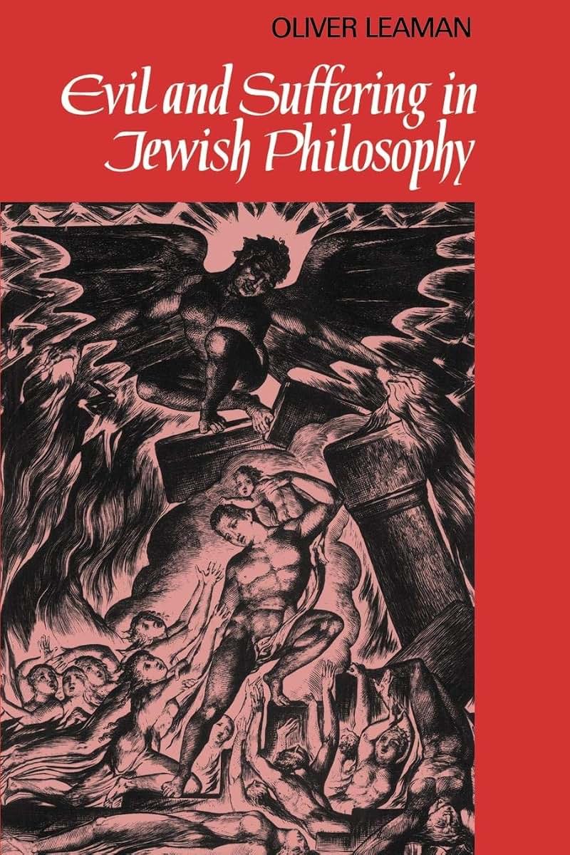Evil and Suffering in Jewish Philosophy (Cambridge Studies in Religious Traditions, Series Number 6)