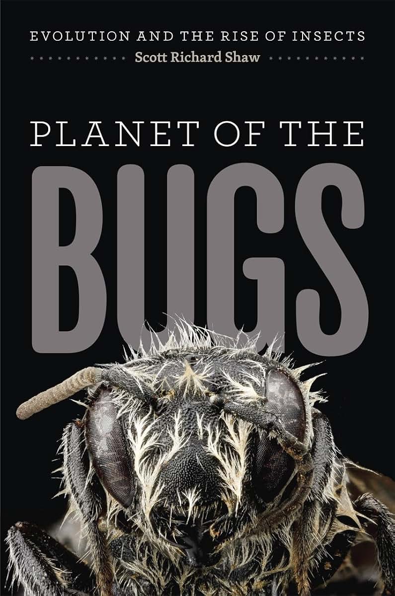 Planet of the Bugs: Evolution and the Rise of Insects