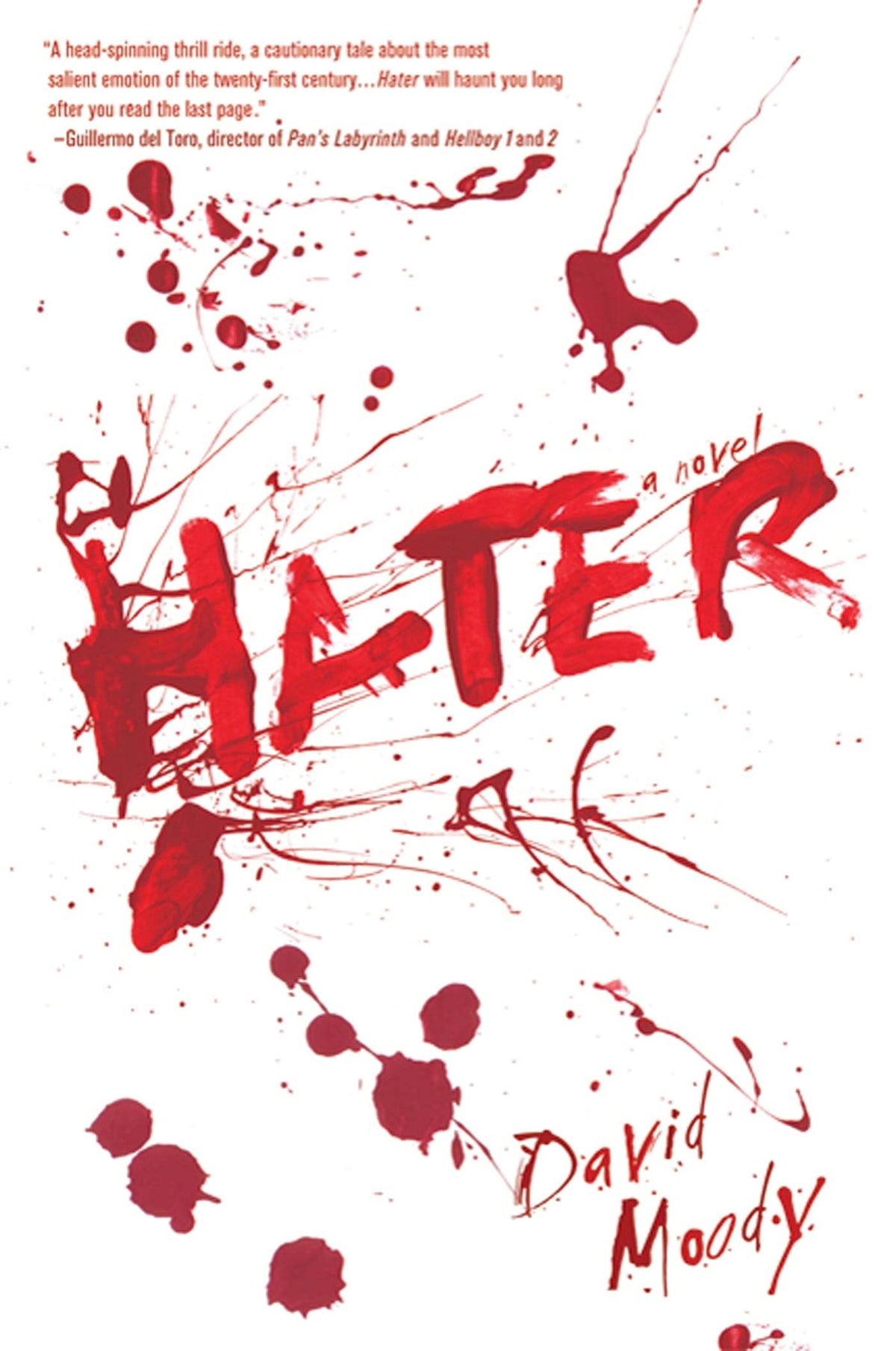 Hater: A Novel (Hater series, 1)