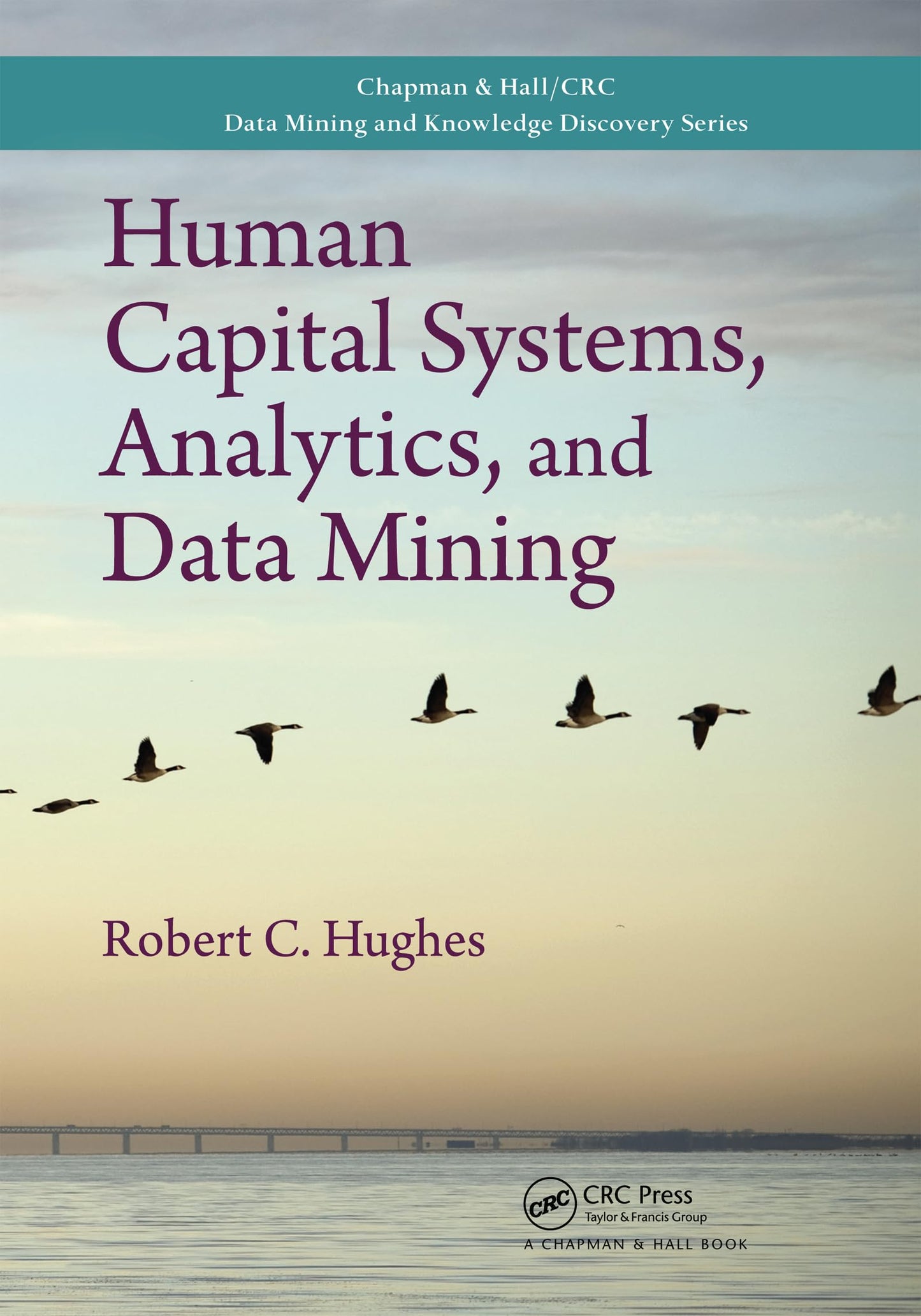 Human Capital Systems, Analytics, and Data Mining (Chapman & Hall/CRC Data Mining and Knowledge Discovery Series)