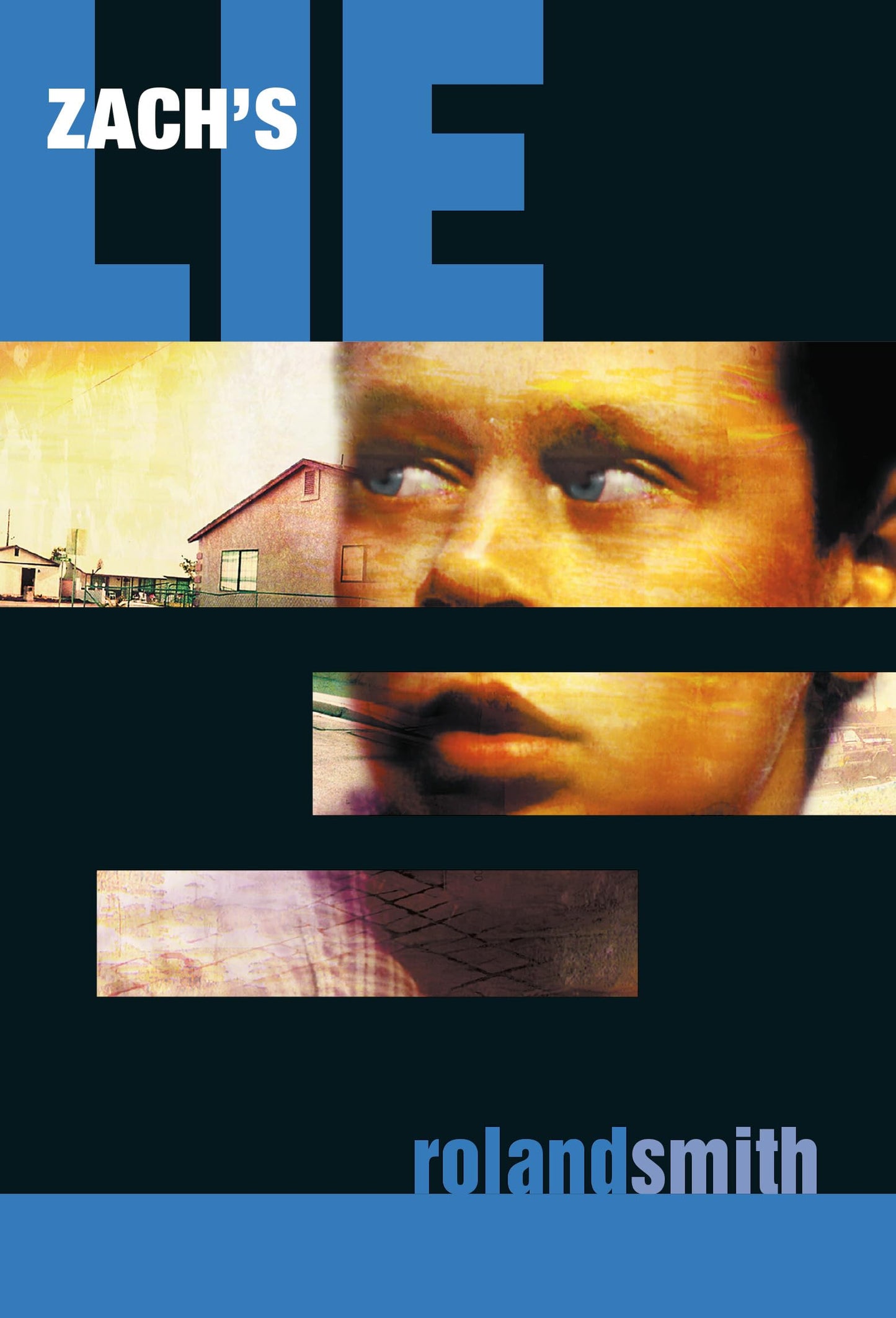 Zach's Lie (Zach's Lie, 1)