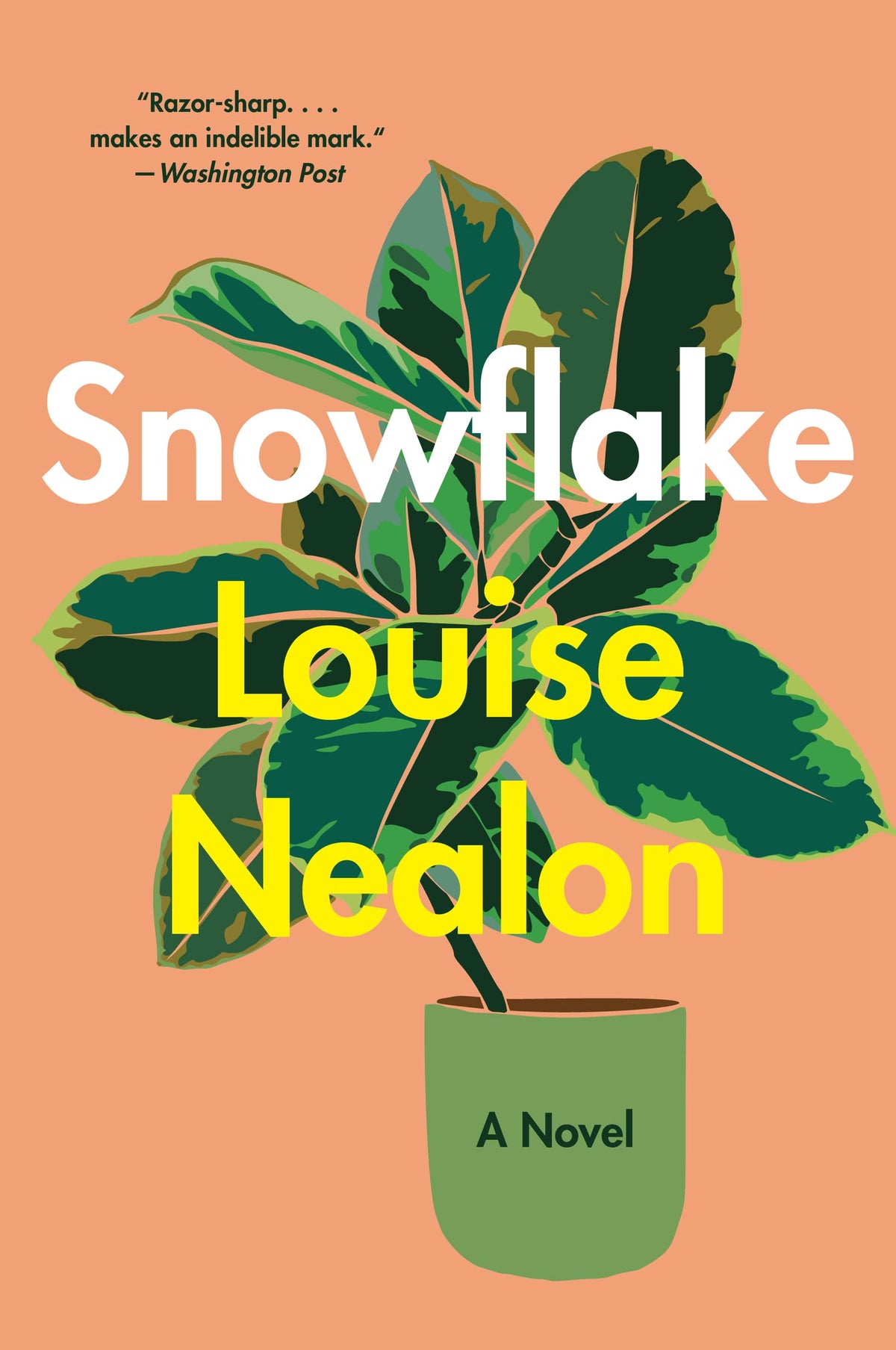 Snowflake: A Haunting Irish Literary Debut of Coming-of-Age, Family, Tragedy, and Mental Health in Rural Ireland