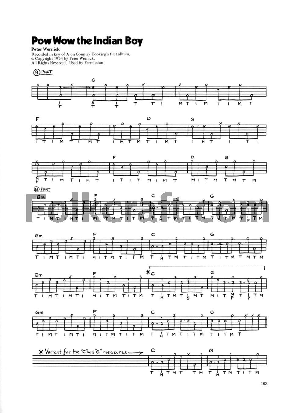 Bluegrass Banjo