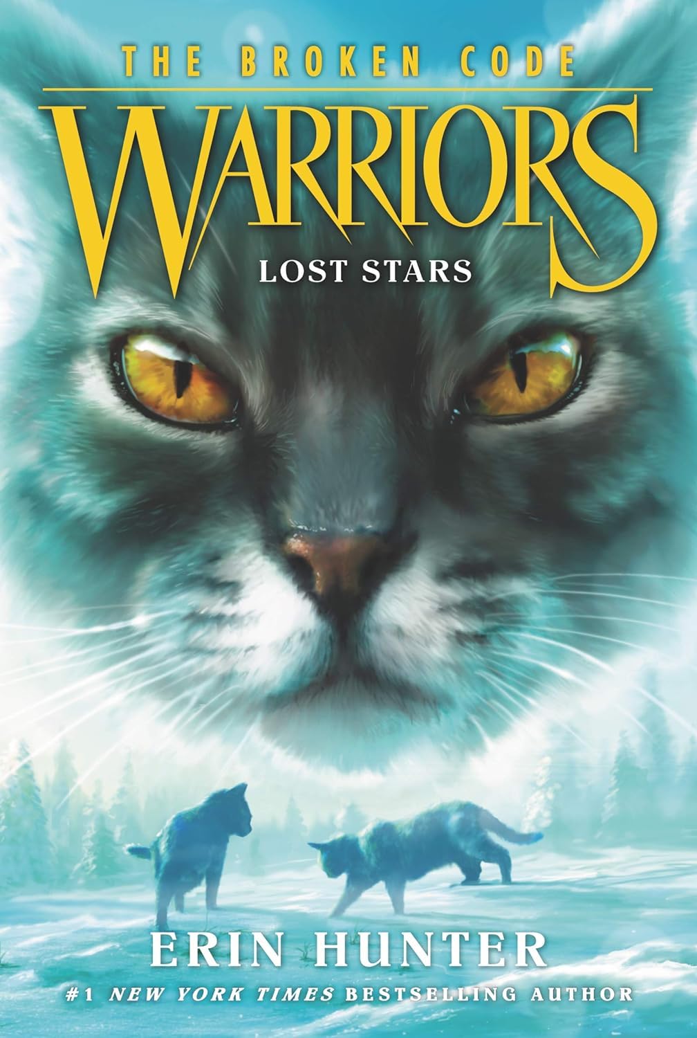 Warriors Cat: The Broken Code Book 1-6 Series 6 Books Collection Set By Erin Hunter(Lost Stars, The Silent Thaw, Veil of Shadows, Darkness Within, The Place of No Stars & A Light in the Mist)