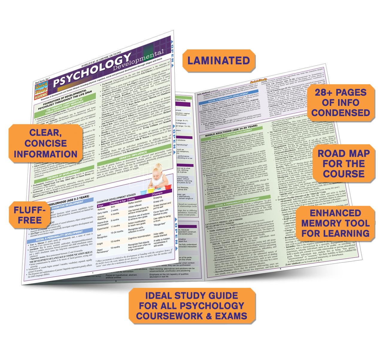 Psychology: Developmental (Life Span): QuickStudy Laminated Reference Guide (Quick Study Academic)