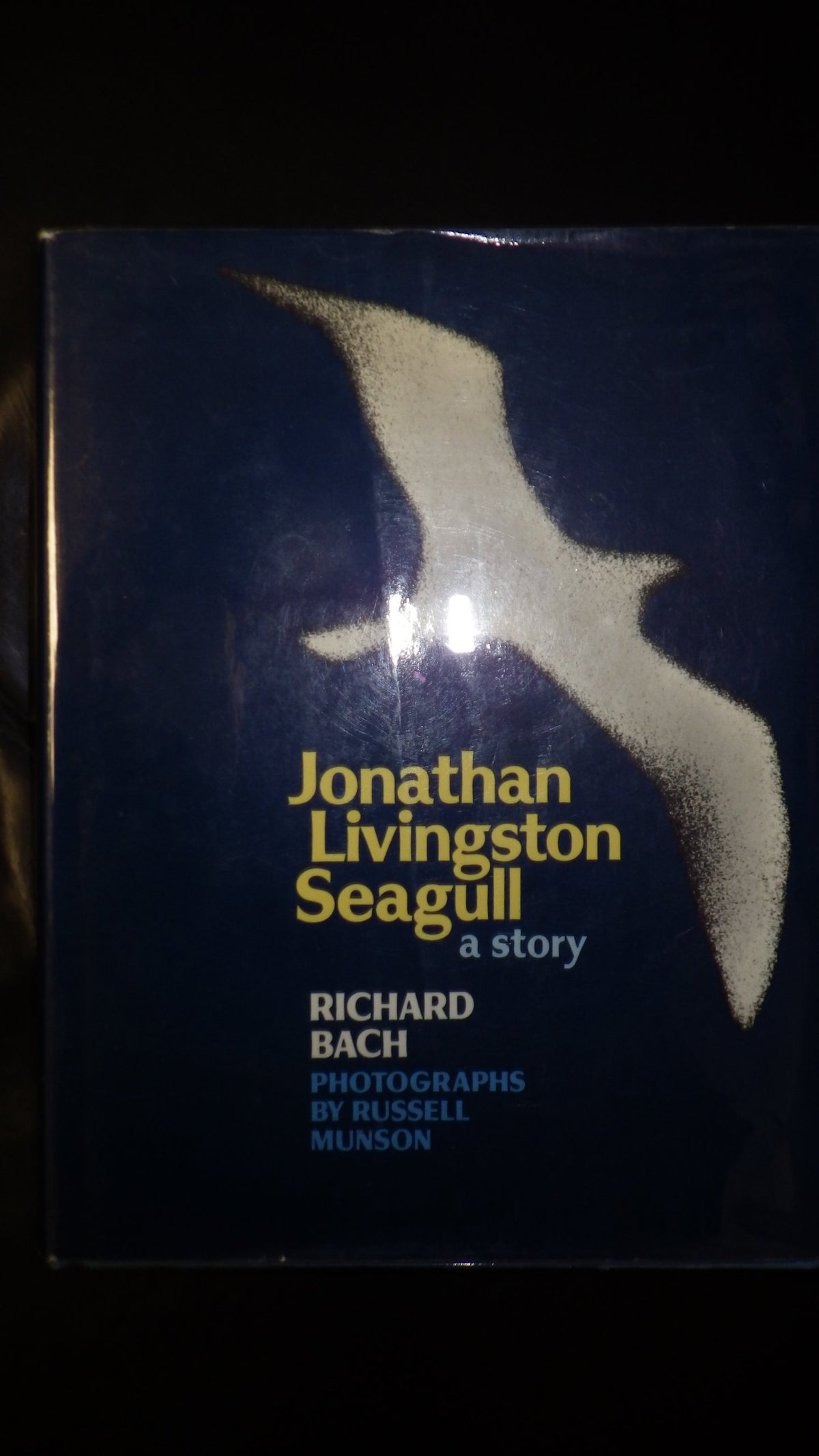 Jonathan Livingston Seagull