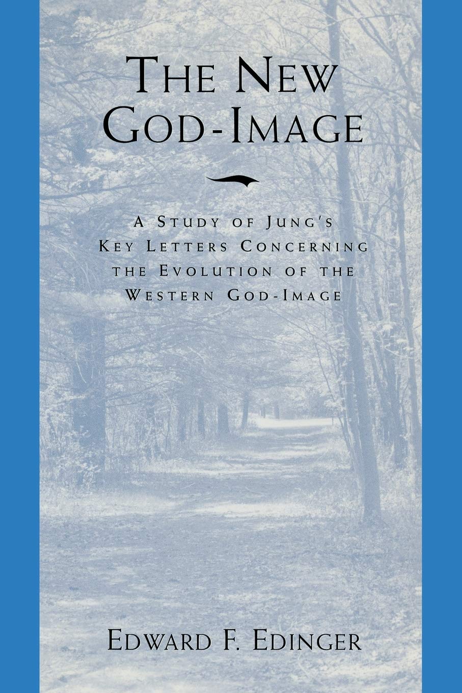 The New God-Image: A Study of Jungs Key Letters Concerning t