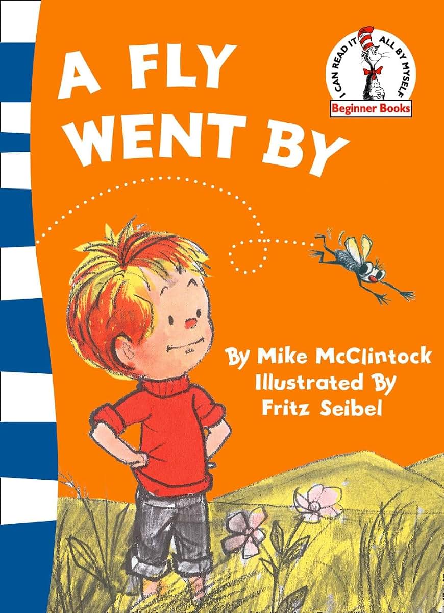 A Fly Went by