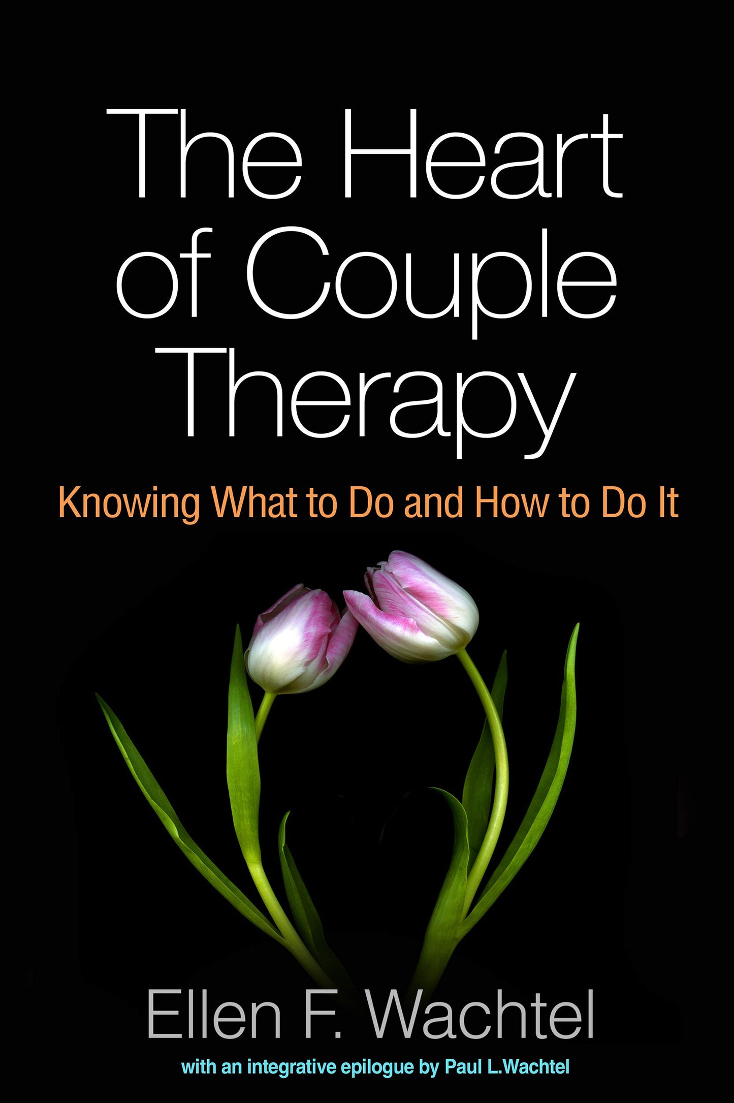 The Heart of Couple Therapy: Knowing What to Do and How to Do It