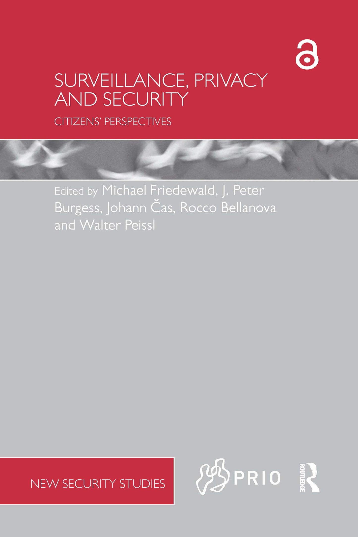 Surveillance, Privacy and Security (PRIO New Security Studies)