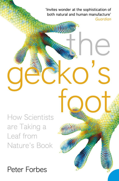 The Geckos Foot: How Scientists are Taking a Leaf from Nature's Book